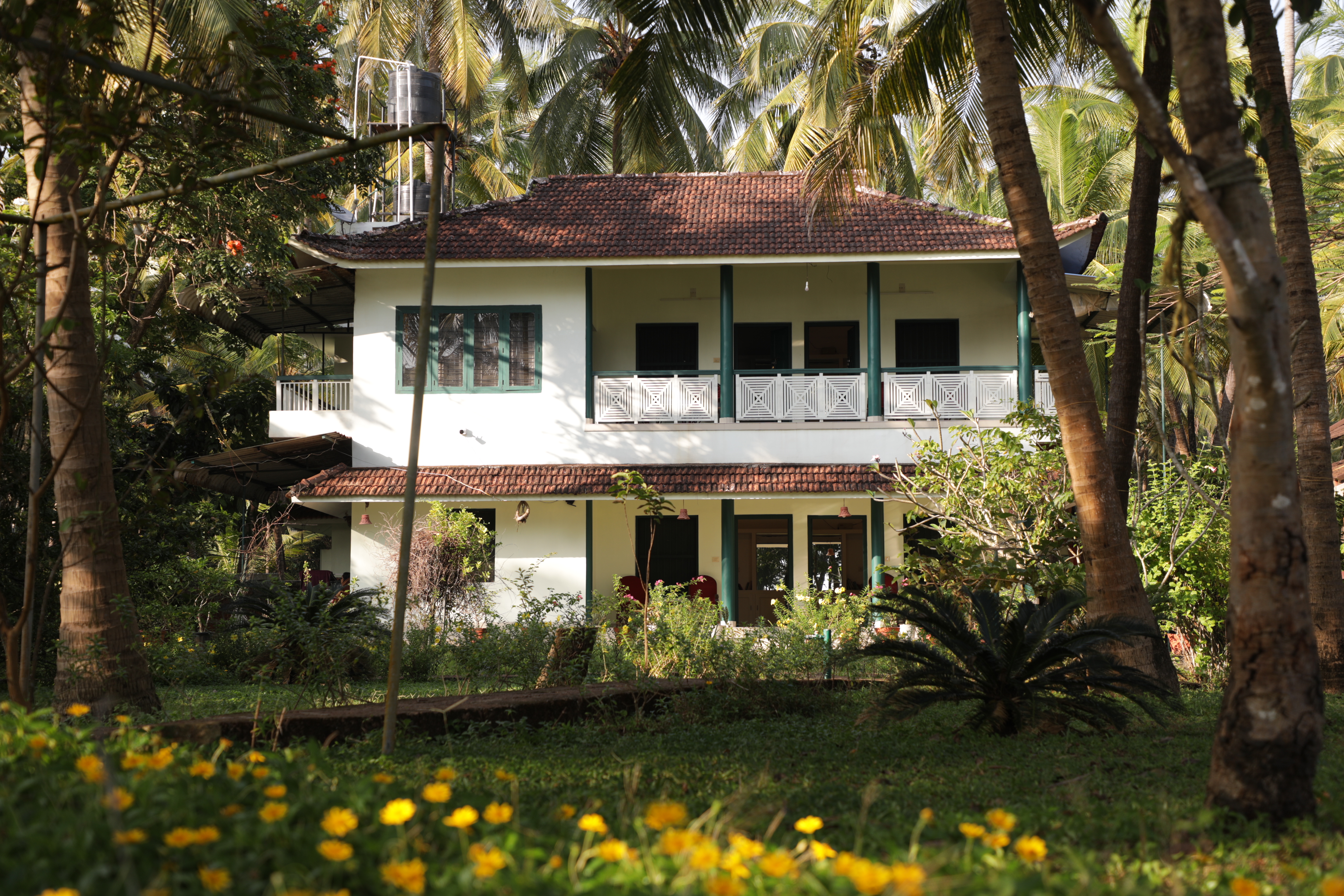 Blue Mermaid - Beach View